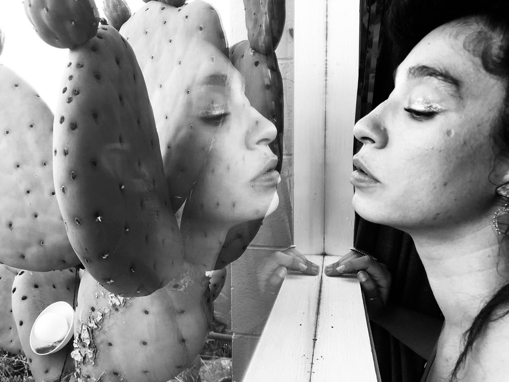 Simago reflection in glass with cactus